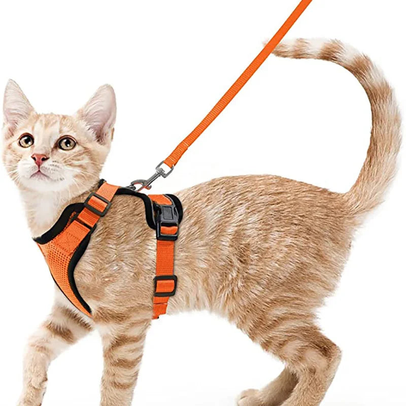 Soft and Safe Harnesses for Walking with Your Cat