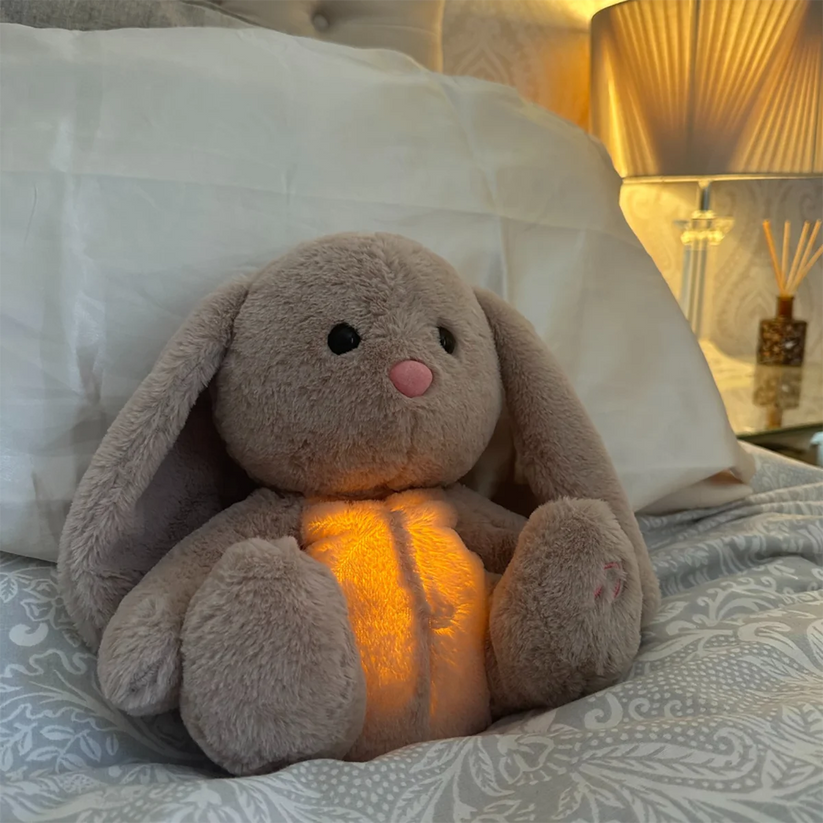 Soothing Plush Toy