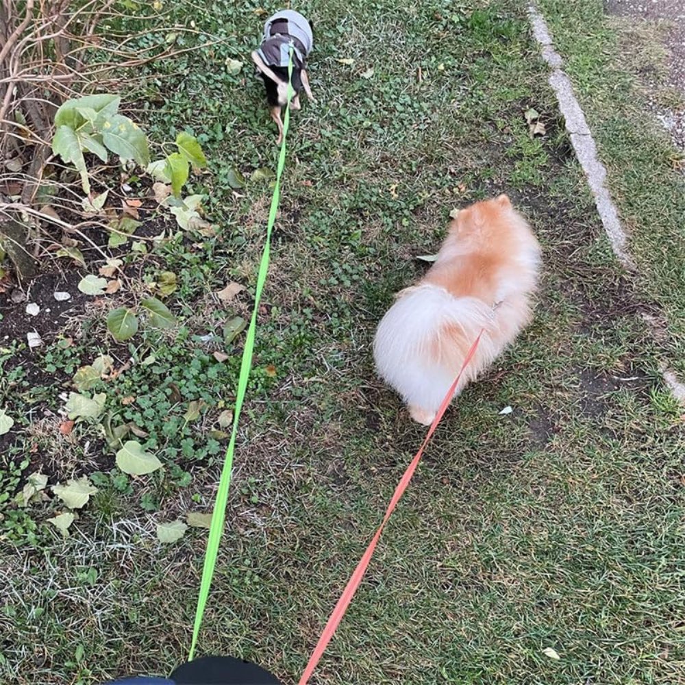 TangleFree • Dual Dog Leash