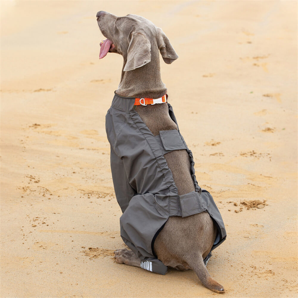 Waterproof Dog Raincoat with Four Legs and Reflective Pattern Hood