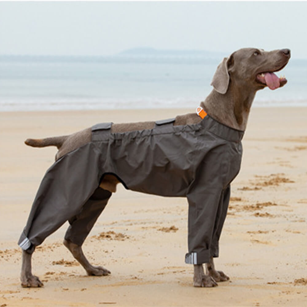 Waterproof Dog Raincoat with Four Legs and Reflective Pattern Hood
