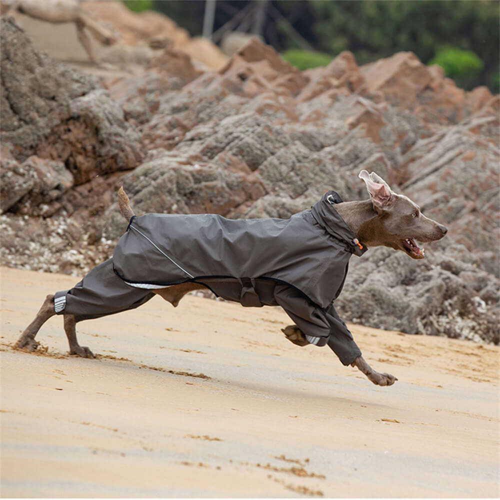 Waterproof Dog Raincoat with Four Legs and Reflective Pattern Hood